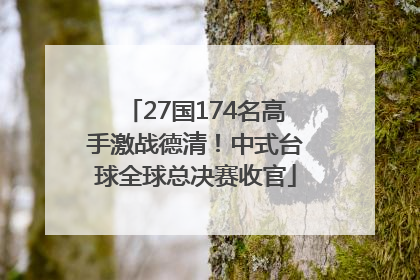 27国174名高手激战德清！中式台球全球总决赛收官