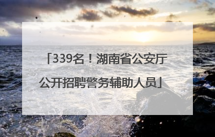339名！湖南省公安厅公开招聘警务辅助人员