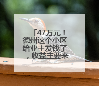 47万元！德州这个小区给业主发钱了，收益主要来源于电梯广告费等