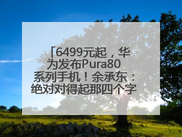 6499元起，华为发布Pura80系列手机！余承东：绝对对得起那四个字！华为近十年研发投入12490亿元