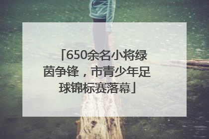 650余名小将绿茵争锋，市青少年足球锦标赛落幕