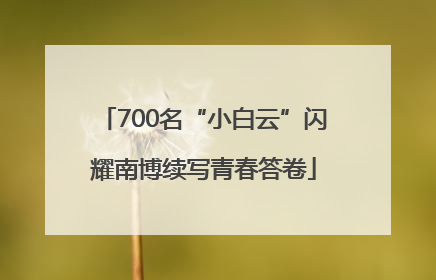 700名“小白云”闪耀南博续写青春答卷