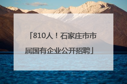 810人！石家庄市市属国有企业公开招聘