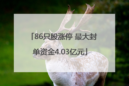 86只股涨停 最大封单资金4.03亿元