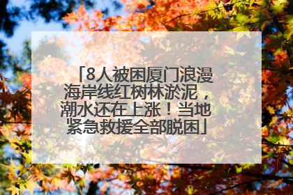 8人被困厦门浪漫海岸线红树林淤泥，潮水还在上涨！当地紧急救援全部脱困