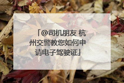 @司机朋友 杭州交警教您如何申请电子驾驶证