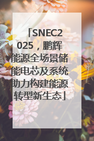 SNEC2025，鹏辉能源全场景储能电芯及系统助力构建能源转型新生态